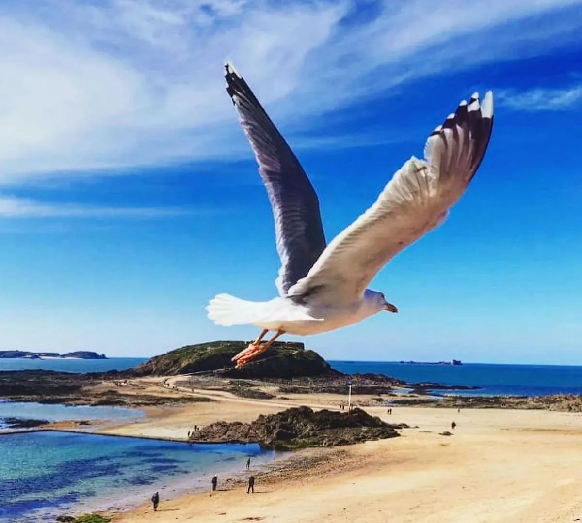 펜션 Maison Renovee En Centre-Ville, A 5 Min Des Plages Beaussais Sur Mer